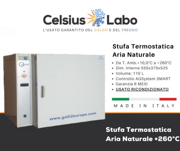 Celsius Labo-Galli-Usato Ricondizionato-05-Stufa aa Aria Naturale 110L +260°C